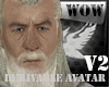 Lord Of TheRing Gandalf2