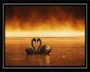 Love Swan Framed Picture