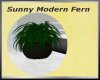 Sunny Modern Potted Fern