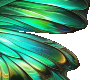 green wings