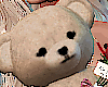 teddy 3