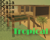 !A Tropical