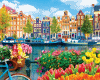 Traje Netherlands