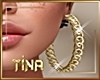Luxury { Gold } Earrings