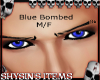 Blue Bombed eyes M/F