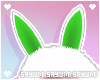 あII Bunny Ears Green