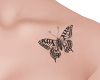 Butterfly in the chest