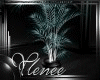 :YL:EaVen Willow Plant