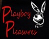 Playboy Pleasures