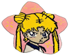 sailor moon rug.