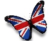United Kingdom Butterfly
