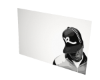 hov painting