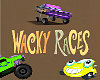 WACKY RACE SIGN