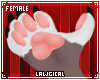 *L* Kuga F Claws