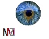 (male) eyez 12