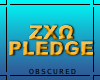 0|  ZX&; Pledge Bottom