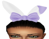 Bunny Love Purple Ears