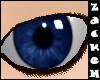 Sapphire Eyes -M-