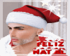 CHRISTMAS Hats Noel