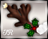 ~TR~ Rudolf Antlers