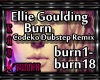 Ellie Goulding - Burn 