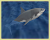 Di* Swimming Shark
