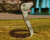 Cobra