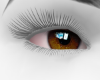 Amber Eyes