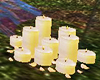 Group of Candles w/petal