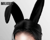 Sexy Bunny Set
