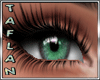 T* Cat Teal Eyes