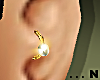 Jet : Ear Anti-Helix Gol