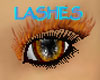 PYN Ginger Lash