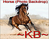 ~KB~ Horse (BackDrop)