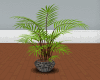[JS] Leafy Willow Plant