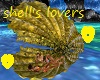 Shell 's lovers/beach 