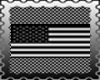 USA Flag