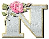 N - Letter Sticker