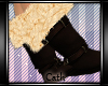 Cath|Iny boots