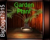 [BD] Garden Plant