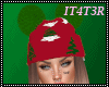 ❄| Christmas Hat+Hair