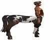 Appaloosa Centaur 3
