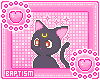 Sailor Moon Cats Bundle
