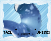 ꨄYuki Tailꨄ
