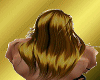 [V.L]GOLD HAIR