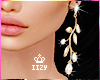 Y!! Gold Earrings e