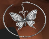 W Gld Butterfly Earrings