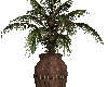 palm in leather vase 4