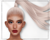 NX - Vanilla Dynamic