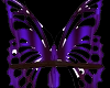 PurpleButterflySeat